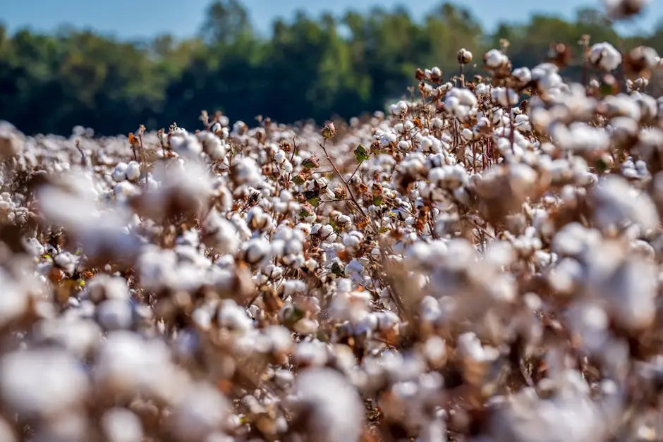 The Power of Organic Cotton: Choosing USA-Made T-Shirts for a Sustainable Future